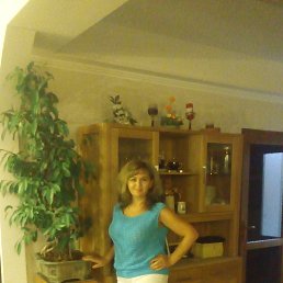 ���� ������, ���������, 47 ��� - ��������� 27 ������� 2015