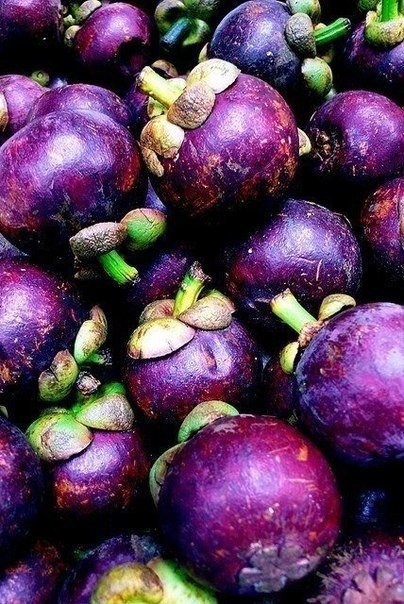 |В| Счастье есть... |В| - 6 мая 2015 в 09:46 - 4