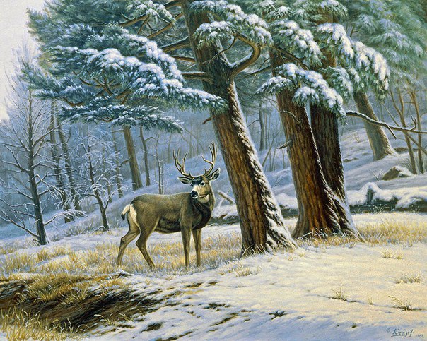 Paul Krapf - 2