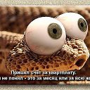 ���� ���������, ���������, 49 ��� - ��������� 11 ��� 2015 � ������ ���� ����������