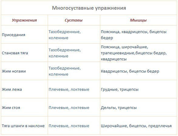 МНОГОСУСТАВНЫЕ УПРАЖНЕНИЯ.Преимущества1) задействуют одновременно много мышечных групп2) позволяют ...
