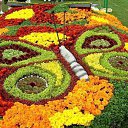 ���� Alehandro, ����������, 53 ���� - ��������� 2 �������� 2015 � ������ ���� ����������