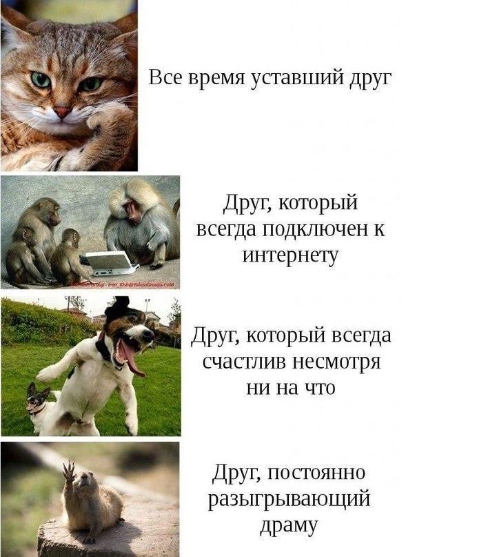   - 1  2015  17:03 - 3