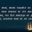 ���� ����, ��������, 44 ���� - ��������� 3 �������� 2015 � ������ ������ ��������