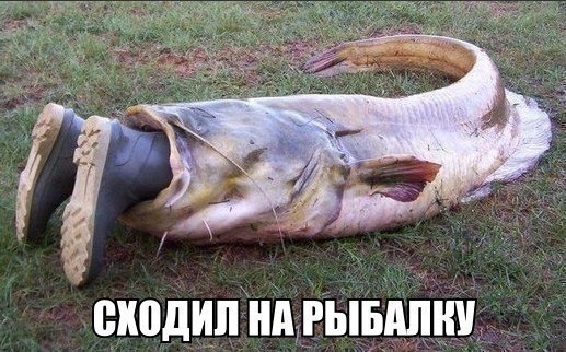 ������������ ���� - 10 ���� 2015 � 14:03