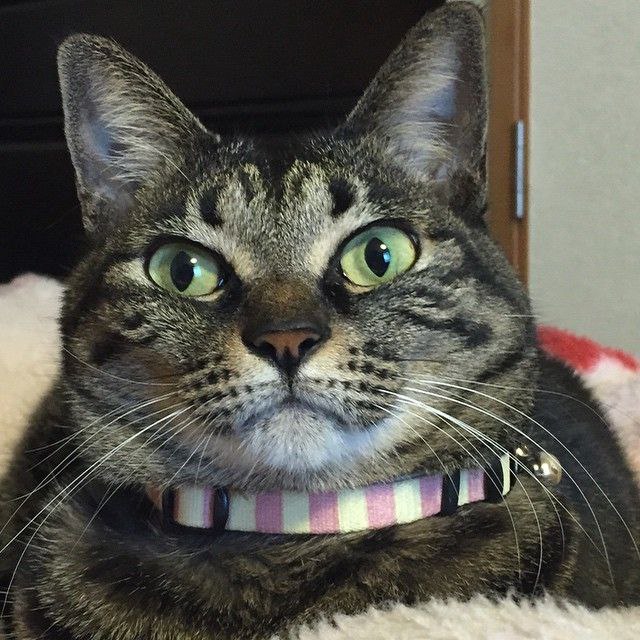  :3