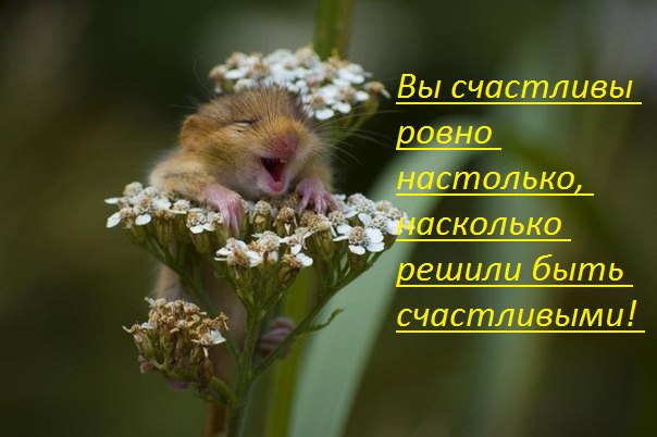 - 29  2015  22:55