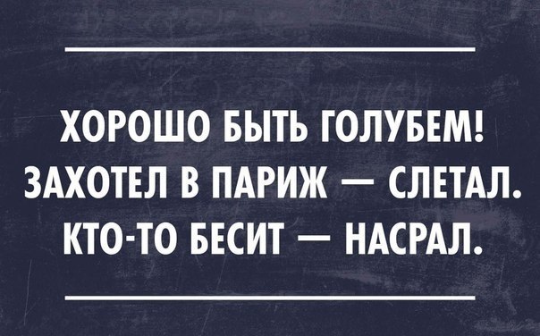    - 5  2015  00:50