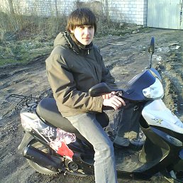 ���� �����, �����������, 33 ���� - ��������� 23 ��� 2015