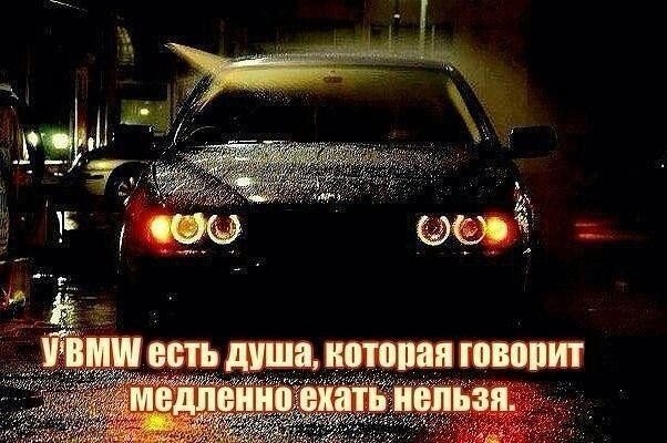    - 29  2015  11:33