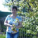 ���� �����, ������ - ��������� 20 ��� 2015 � ������ ���� ����������