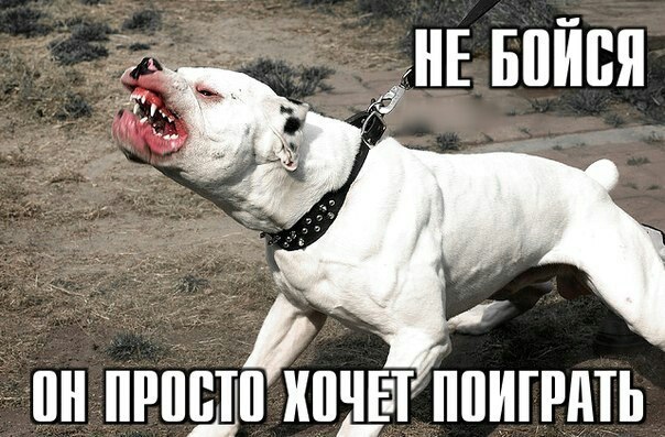   - 28  2015  20:01