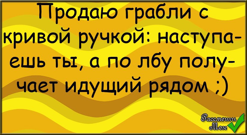  - 8  2015  08:35