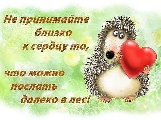  - 31  2015  20:08