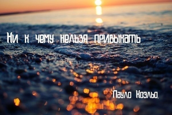 BEST | , ,  - 20  2015  04:04
