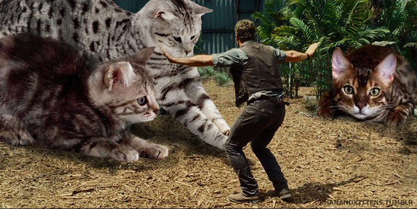 PURASSIC WORLD - 3
