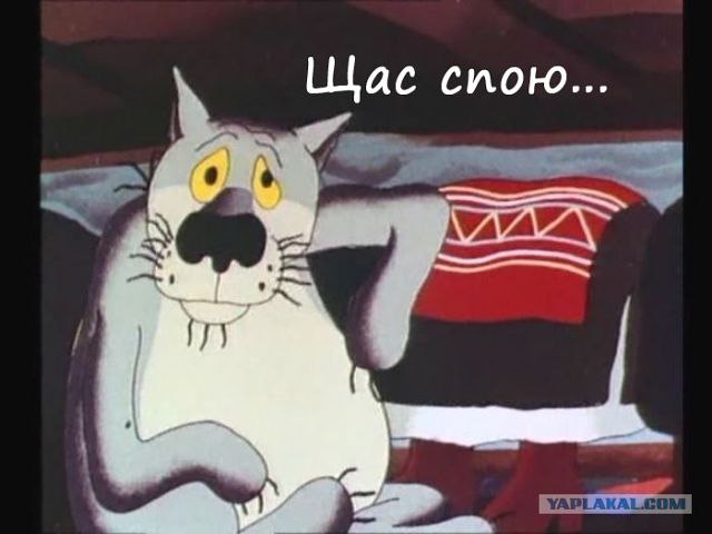    -   .      ...