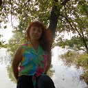  , , 46  -  5  2015   2015 