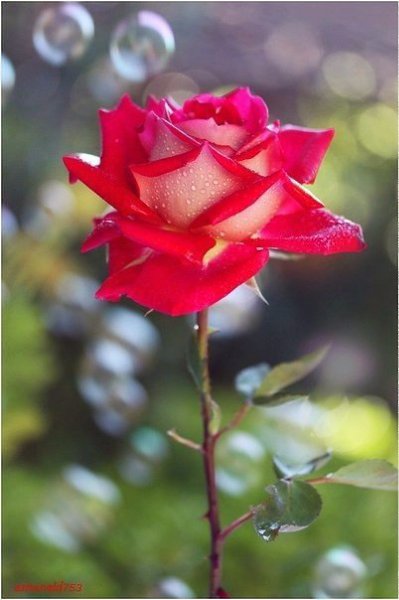 ���� - 9 ��� 2015 � 07:15 - 2