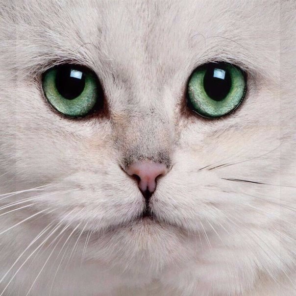       - 22  2015  05:02 - 2