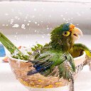 ��������� �����:) �� ������� ���, ��� �����...�