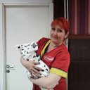 ���� ���, ���� - ��������� 25 ���� 2015 � ������ ���� ����������