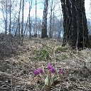 0905.15� �� ������� ���� ����������