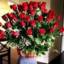 ���� �����, �������, 53 ���� - ��������� 15 �������� 2015 � ������ ���� ����������