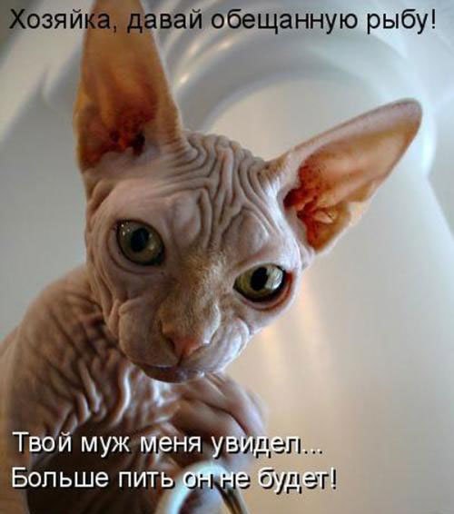       - 24  2015  19:09