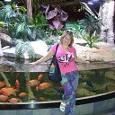 ���� ��������, ��� - ��������� 21 ���� 2015 � ������ ���� ����������