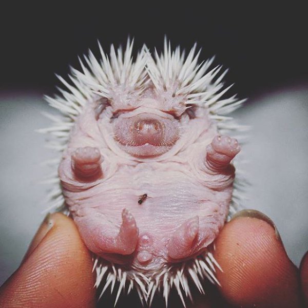 ����� ������� - 20 �������� 2015 � 09:02