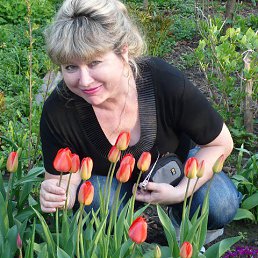 ����, ������-���, 65 ���