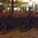 ���� �����, ����-������� - ��������� 21 ���� 2015 � ������ ������ ��������