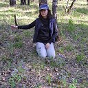 ���� ������, ����������, 59 ��� - ��������� 29 ��� 2015 � ������ ���� ����������