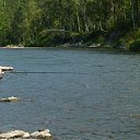 ���� �������, �����������, 53 ���� - ��������� 21 ������� 2015 � ������ ������ 15�