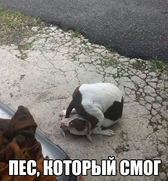   - 10  2015  13:46