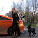 ���� �����, ��������, 36 ��� - ��������� 23 ��� 2015 � ������ ���� ����������