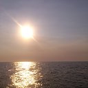 ���� �������, �������, 48 ��� - ��������� 6 �������� 2015 � ������ ���� ����������