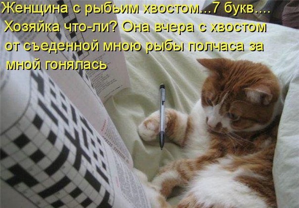 ������ - 23 ������� 2015 � 21:04