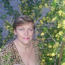 ���� �����, ���������, 53 ���� - ��������� 29 ���� 2015 � ������ ���� ����������