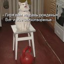  , , 79  -  5  2015    3