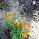 ���� ���������, ����� - ��������� 10 ��� 2015 � ������ ���� ��������� ������