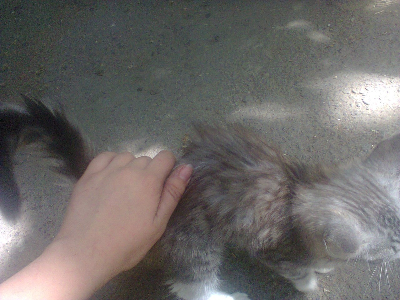 : #_ #@catism.-- (   )  ... - 3