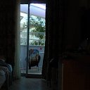 ���� �����, �����������, 37 ��� - ��������� 16 ��� 2015 � ������ ���� ����������