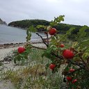  , , 65  -  22  2015    .  .  -