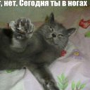 ���� ������, ����, 42 ���� - ��������� 2 ��� 2015
