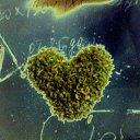 ���� ����, ������, 37 ��� - ��������� 25 ������ 2015 � ������ ���� ����������