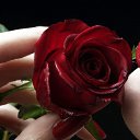 ���� Elenka, �����-���������, 61 ��� - ��������� 27 ���� 2015 � ������ ���� ����������