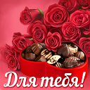 ���� �������, �������-���������, 51 ��� - ��������� 25 ��� 2015 � ������ �������� ��������