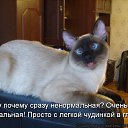 ���� ����, ������, 43 ���� - ��������� 15 ���� 2015 � ������ ���� ����������
